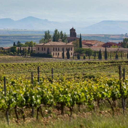 Weingut umgeben von Weinreben mit Gebirge im Hintergrund
