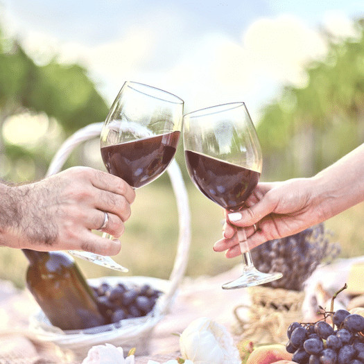 Männlicher und weiblicher Arm stoßen mit Rotwein über Picknick zwischen Rebstöcken an